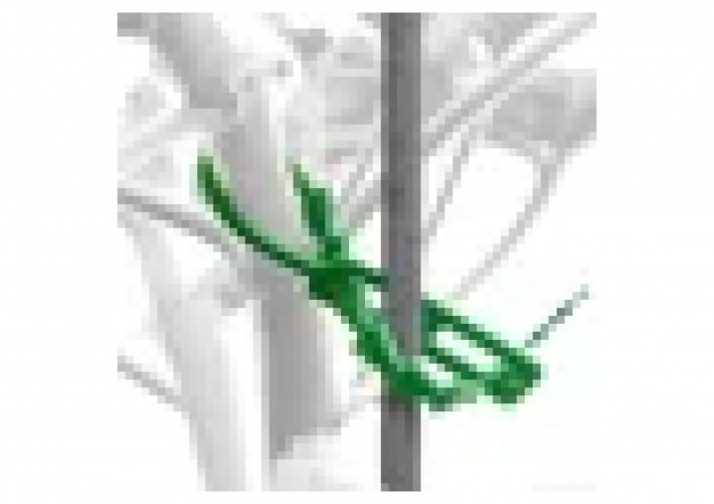 Подвязки для растений Елка многоразовые